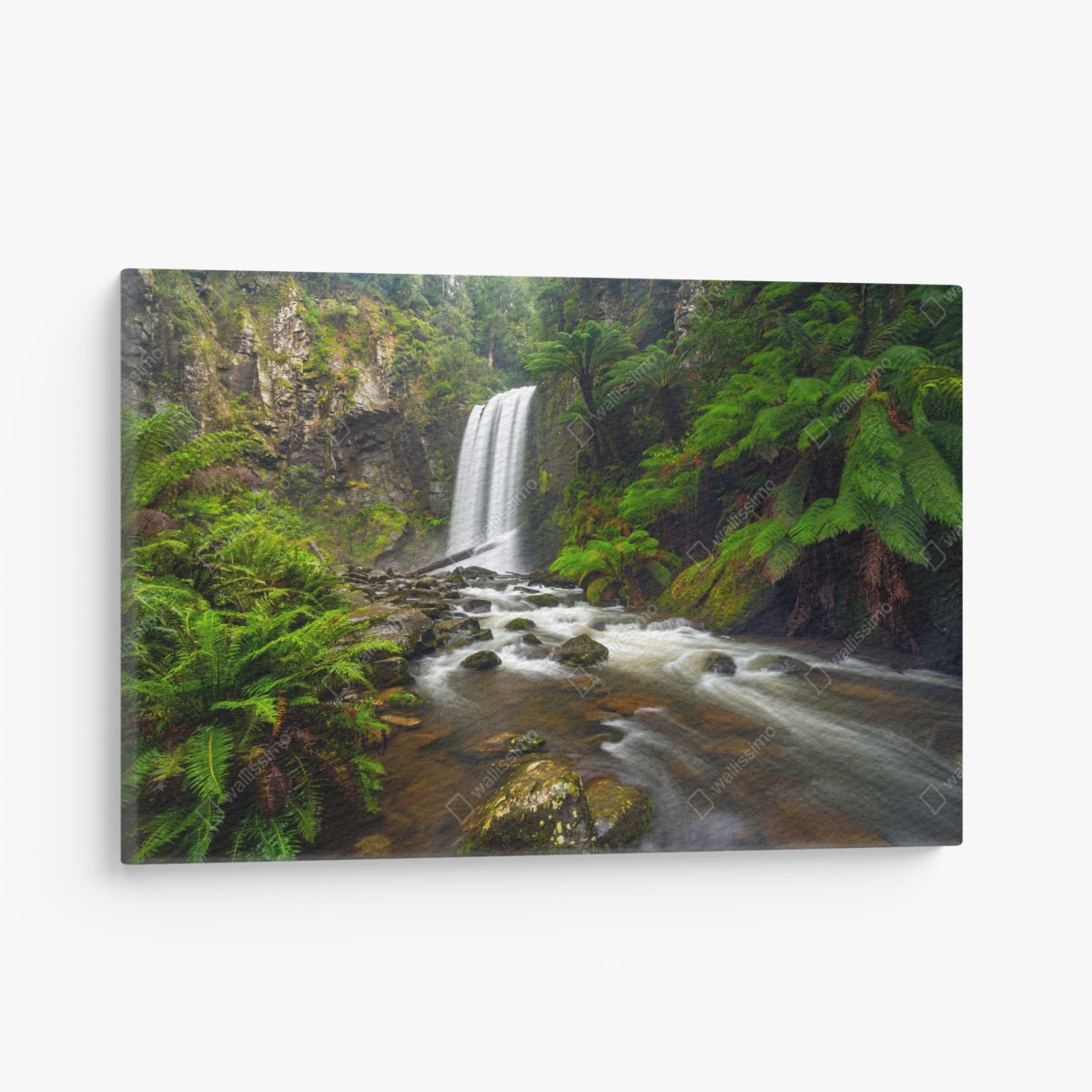 Canvas print lush green waterfall in fern-filled forest