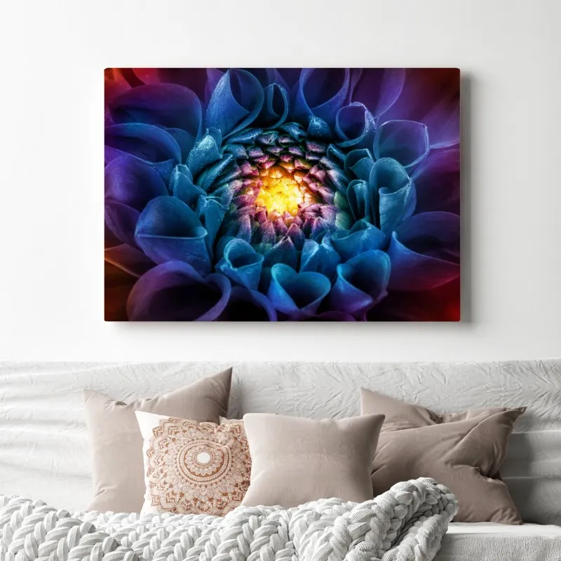 Obraz na płótnie intensywna niebieska chryzantema z bliska – Wallissimo® Obraz na płótnie intensywna niebieska chryzantema z bliska – Wallissimo®