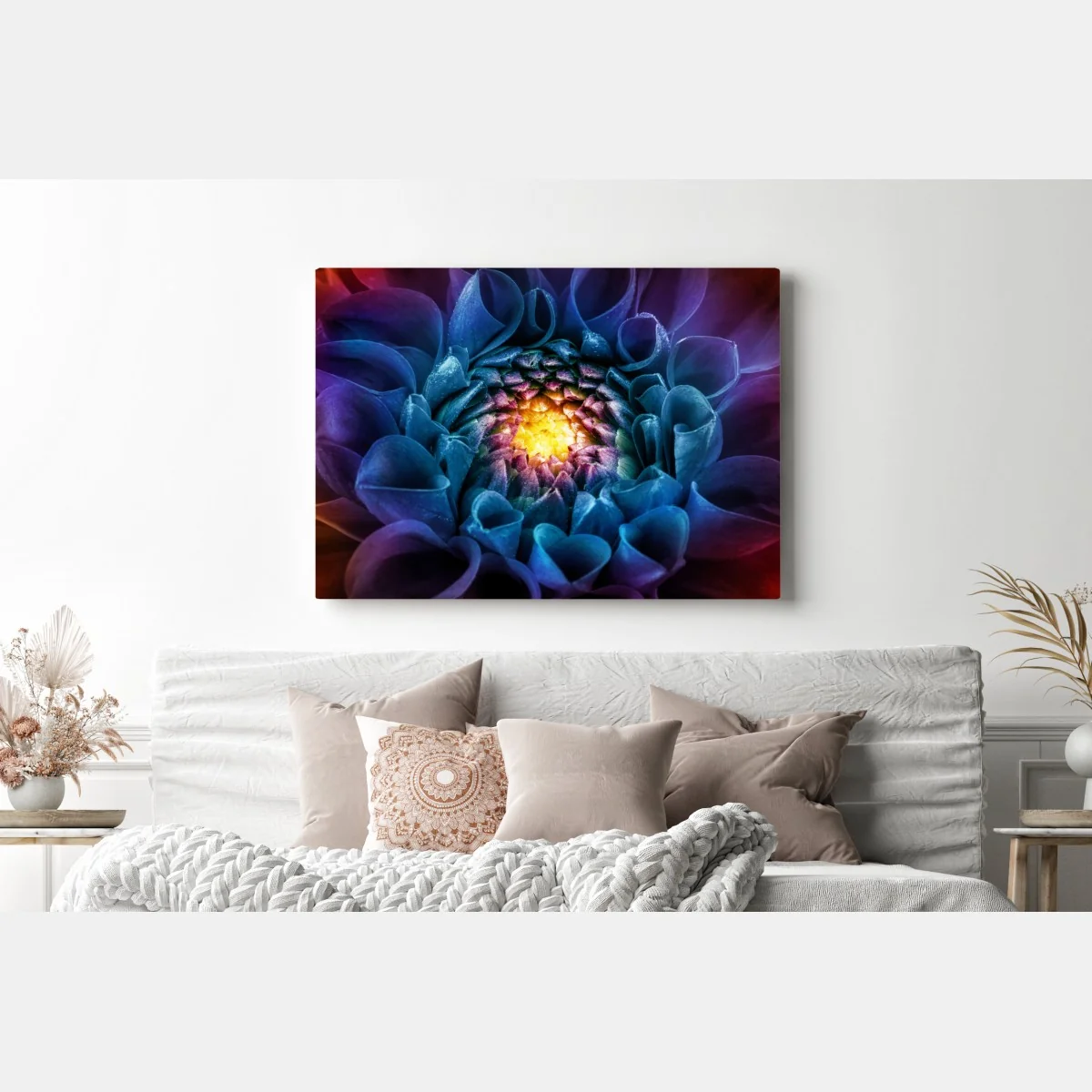 Obraz na płótnie intensywna niebieska chryzantema z bliska – Wallissimo® Obraz na płótnie intensywna niebieska chryzantema z bliska – Wallissimo®