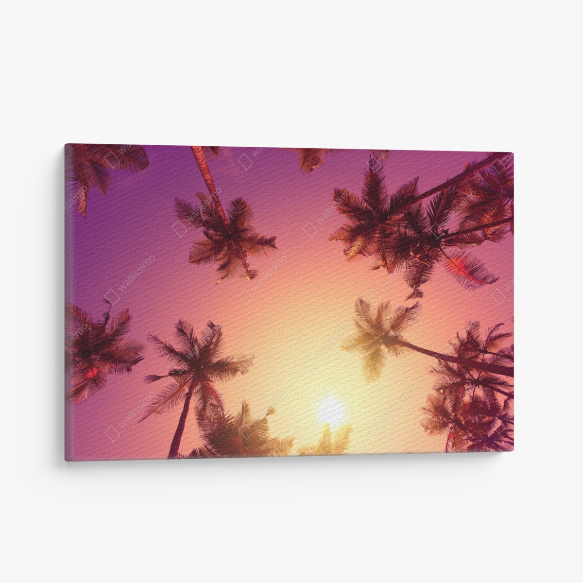 Canvas print vivid tropical sunset with palm silhouettes