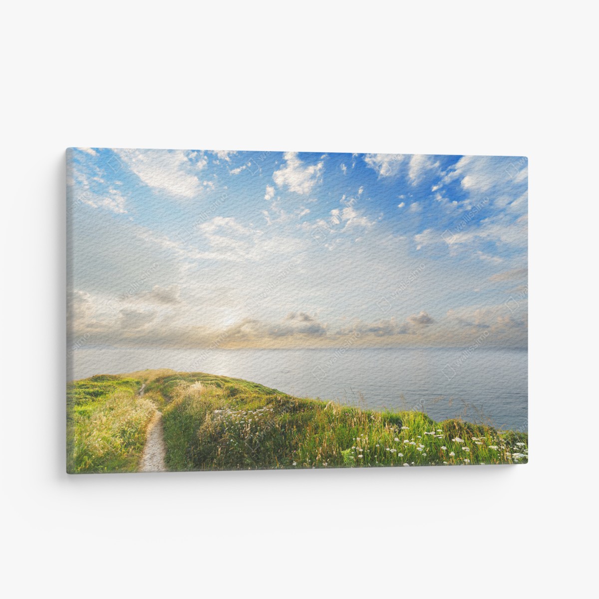 Canvas print sunlit coastal path to the sea
