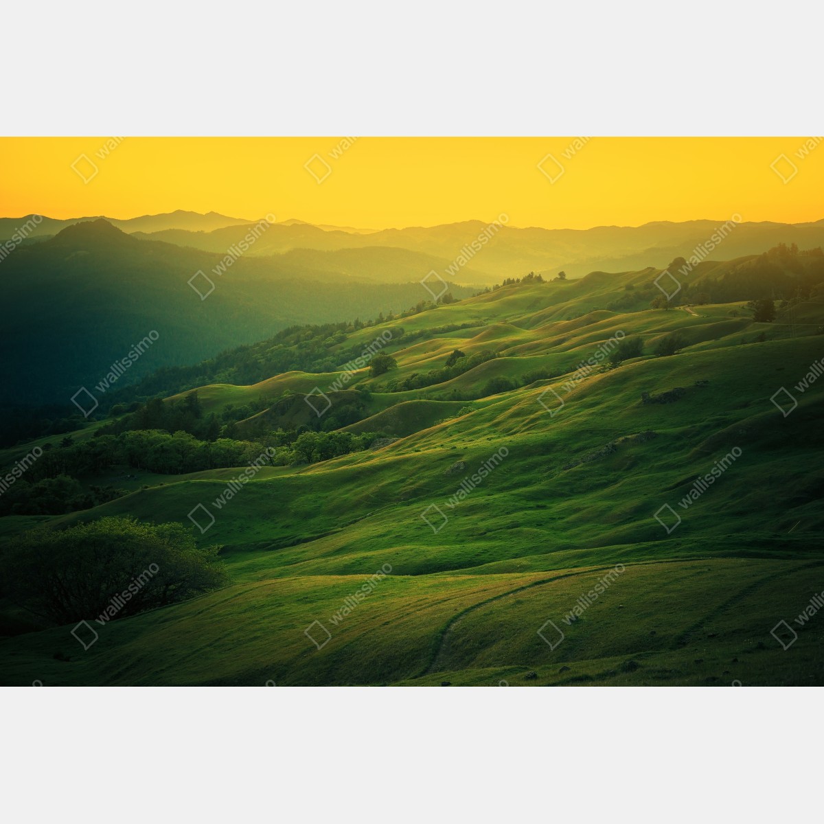 Obraz na płótnie falujące wzgórza Północnej Kalifornii o zachodzie słońca – Wallissimo® Obraz na płótnie falujące wzgórza Północnej Kalifornii o zachodzie słońca – Wallissimo®