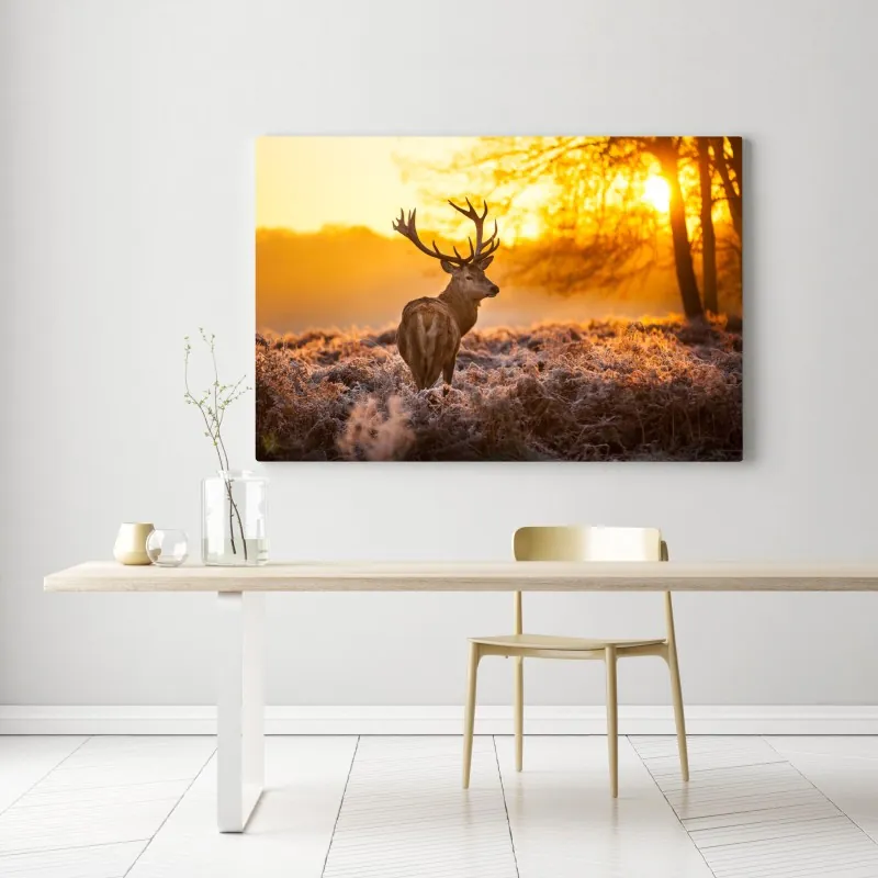 Obraz na płótnie złoty jeleń o świcie – Wallissimo® Obraz na płótnie złoty jeleń o świcie – Wallissimo®