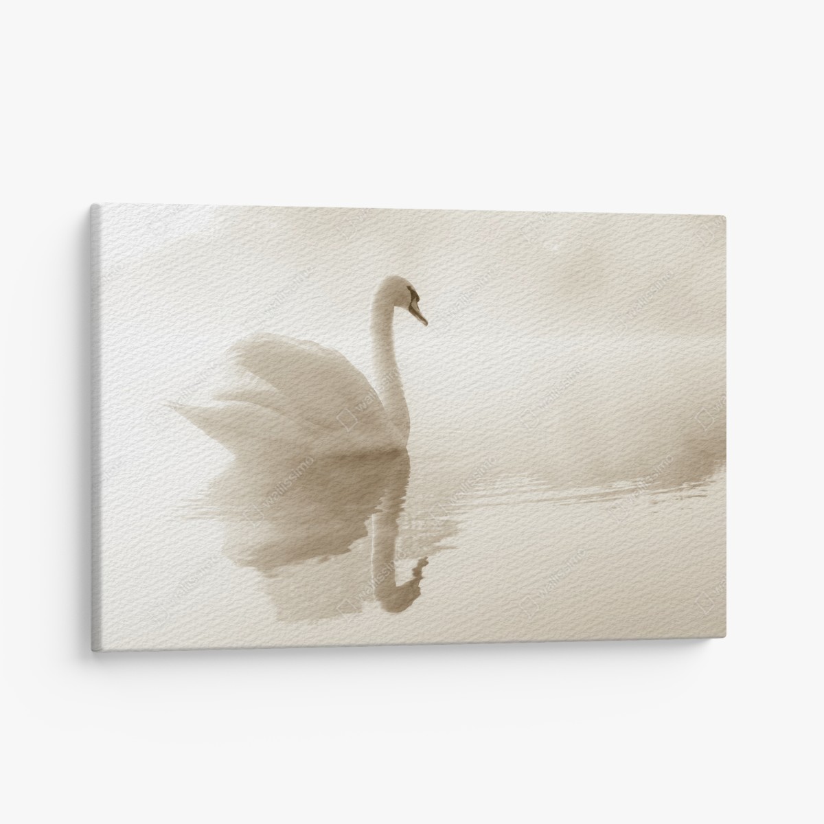 Canvas print elegant swan in misty reflection