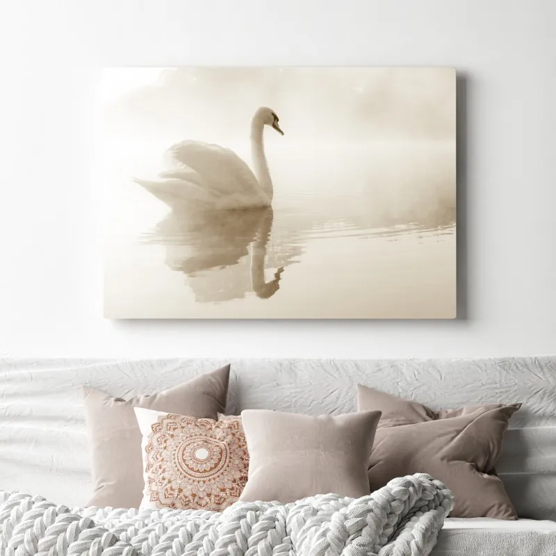 Obraz na płótnie elegancki łabędź we mgle – Wallissimo® Obraz na płótnie elegancki łabędź we mgle – Wallissimo®