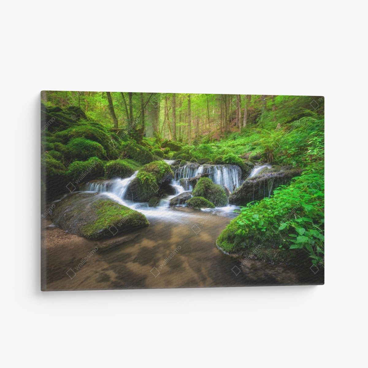 Canvas print tranquil mossy forest waterfall