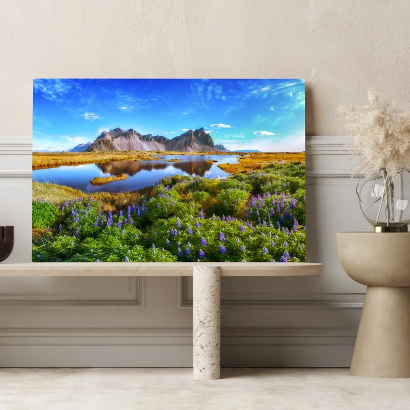 Obraz na płótnie łąka łubinów przy Vestrahorn, Islandia – Wallissimo® Obraz na płótnie łąka łubinów przy Vestrahorn, Islandia – Wallissimo®