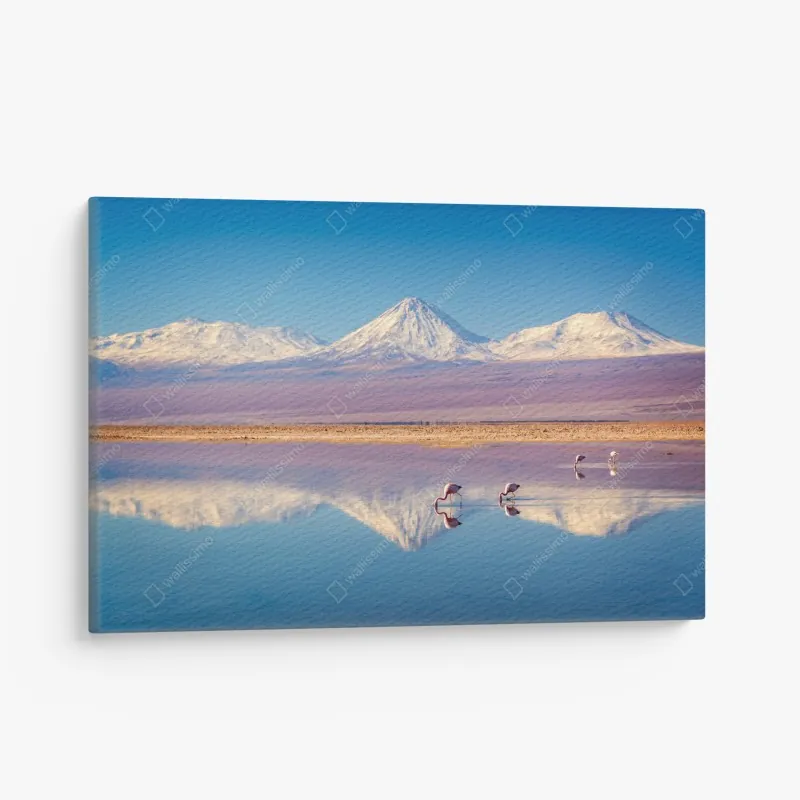 Obraz na płótnie mglisty las iglasty panorama – Wallissimo®