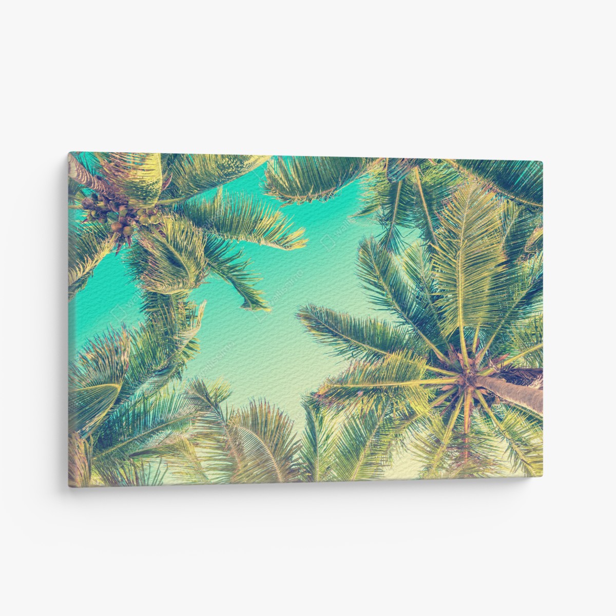 Canvas print vintage turquoise palm canopy