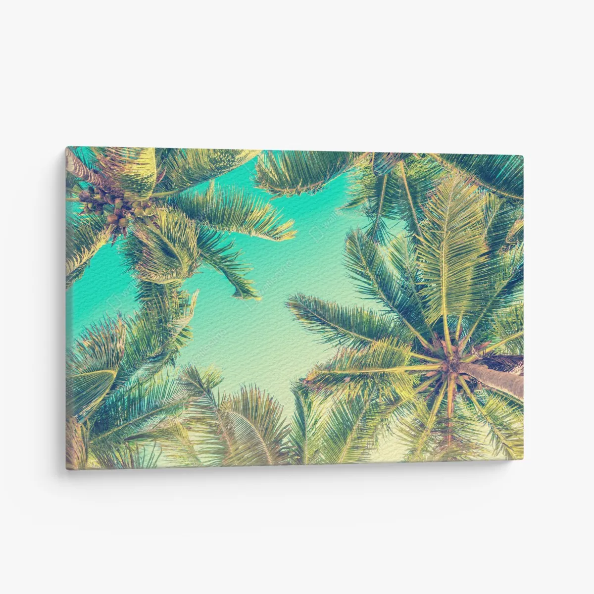 Obraz na płótnie vintage turkusowy baldachim palm – Wallissimo® Obraz na płótnie vintage turkusowy baldachim palm – Wallissimo®