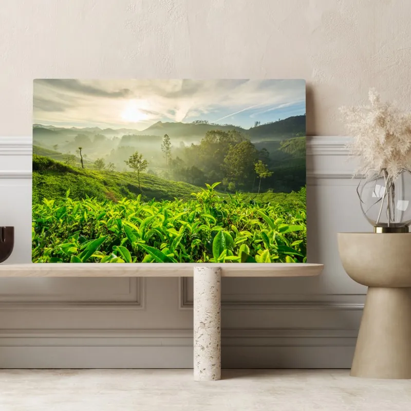 Obraz na płótnie wschód słońca nad plantacjami herbaty w Munnar – Wallissimo® Obraz na płótnie wschód słońca nad plantacjami herbaty w Munnar – Wallissimo®