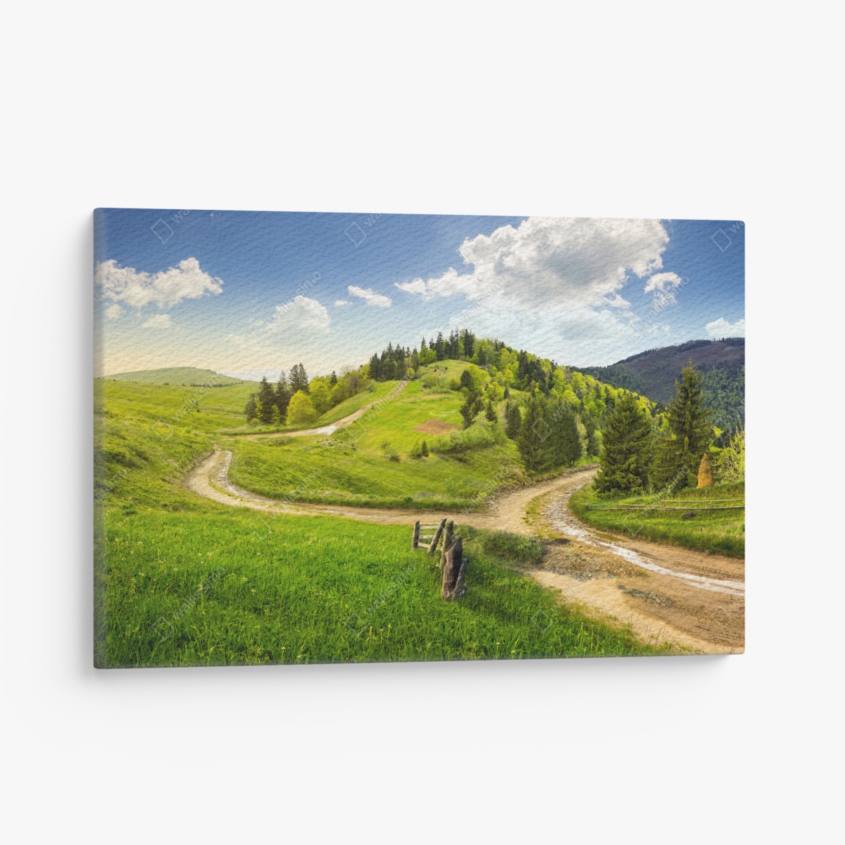 Canvas print winding country road through green hills
