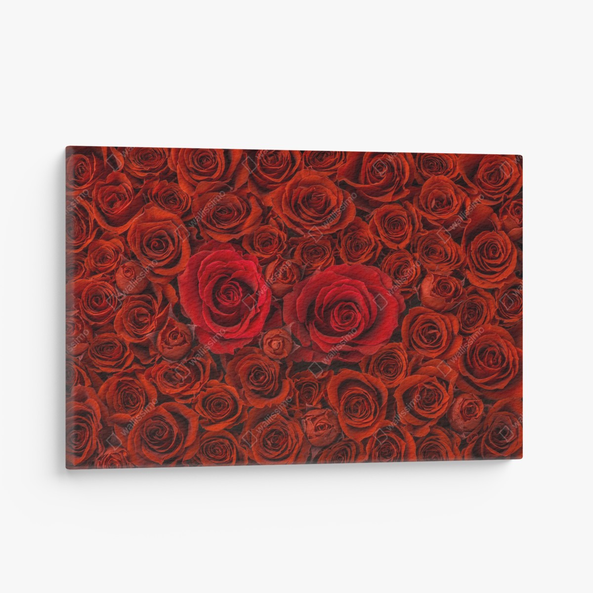 Canvas print lush red rose collage