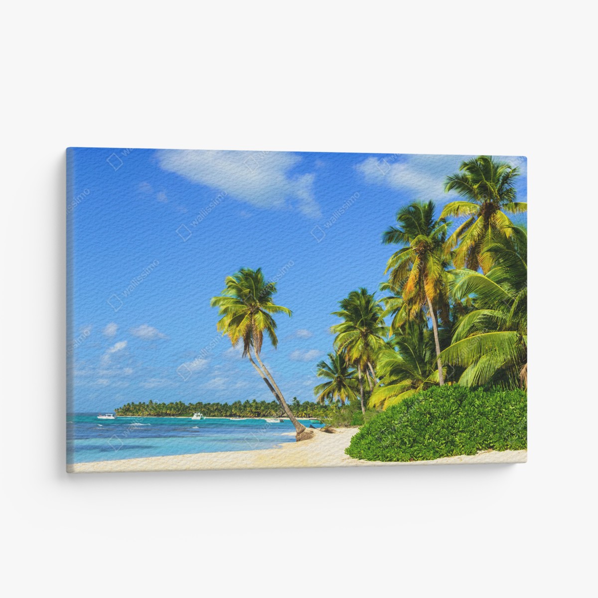 Canvas print tropical palm beach paradise