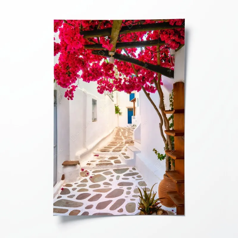 Plakat słoneczna uliczka grecka z bugenwillą