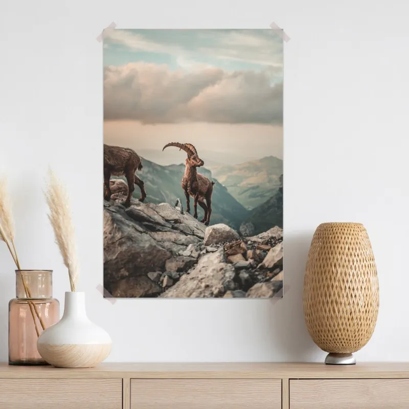 Plakat kozica alpejska na skalistym grzbiecie – Wallissimo® Plakat kozica alpejska na skalistym grzbiecie – Wallissimo®