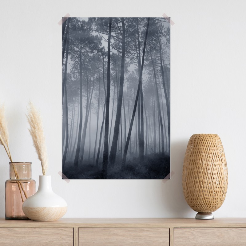 Plakat mglisty sosnowy las nocą – Wallissimo® Plakat mglisty sosnowy las nocą – Wallissimo®