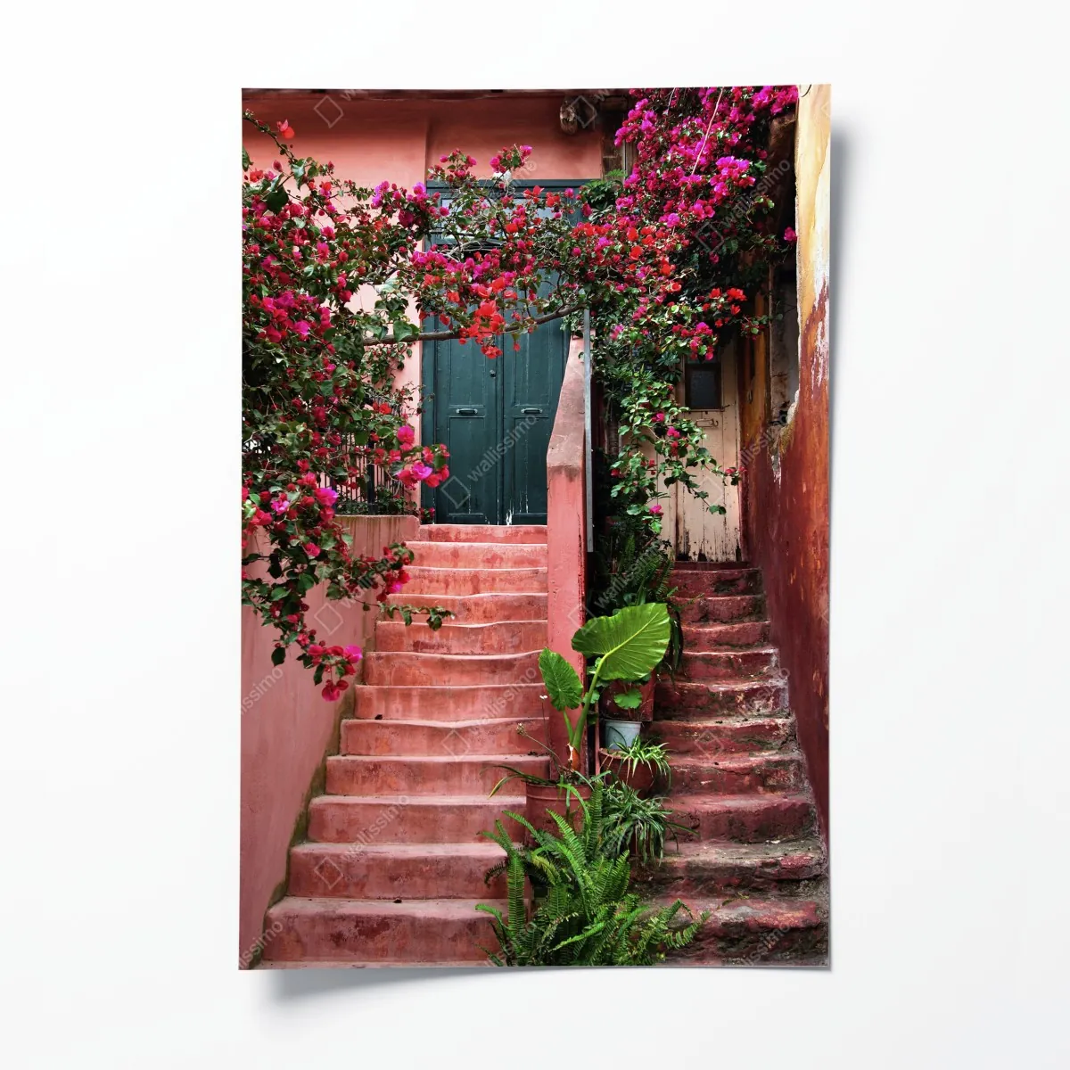 Plakat schody z bugenwillą i zielenią – Wallissimo® Plakat schody z bugenwillą i zielenią – Wallissimo®