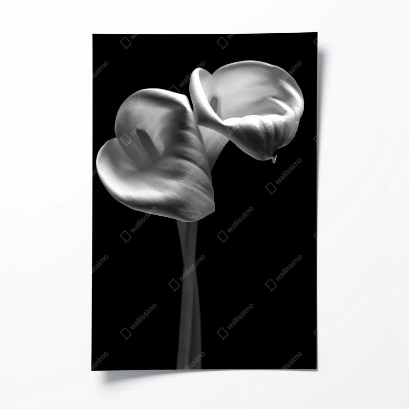 Plakat elegancki złoty geometryczny wzór liści – Wallissimo®