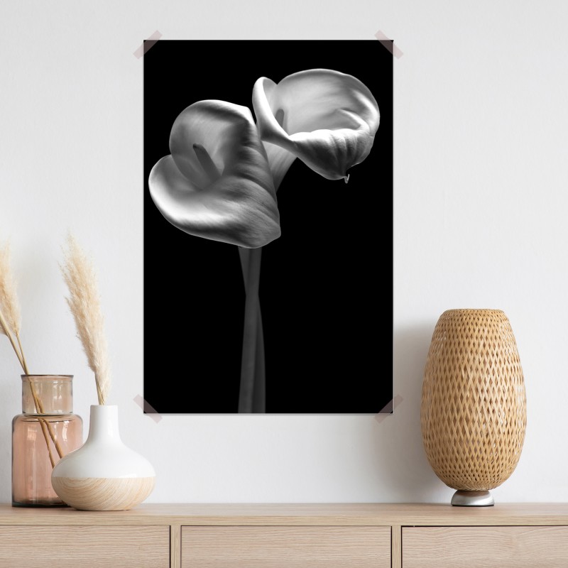 Plakat eleganckie kielichy kalii w monochromie – Wallissimo® Plakat eleganckie kielichy kalii w monochromie – Wallissimo®
