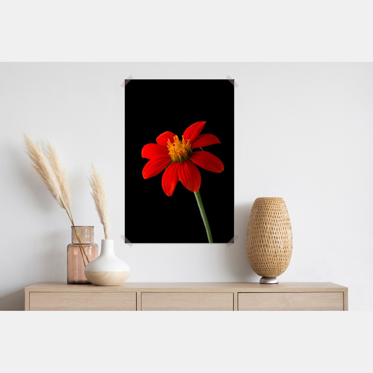 Plakat żywy słonecznik meksykański na czarnym tle – Wallissimo® Plakat żywy słonecznik meksykański na czarnym tle – Wallissimo®