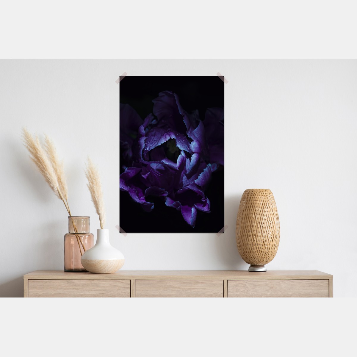 Plakat fioletowy tulipan w ultrafiolecie – Wallissimo® Plakat fioletowy tulipan w ultrafiolecie – Wallissimo®