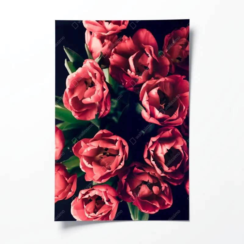 Plakat zmysłowy czarno-biały portret z różą – Wallissimo®