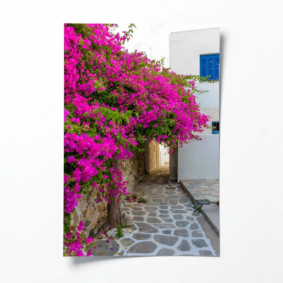 Plakat kwitnąca bugenwilla w uliczce Naousa – Wallissimo® Plakat kwitnąca bugenwilla w uliczce Naousa – Wallissimo®