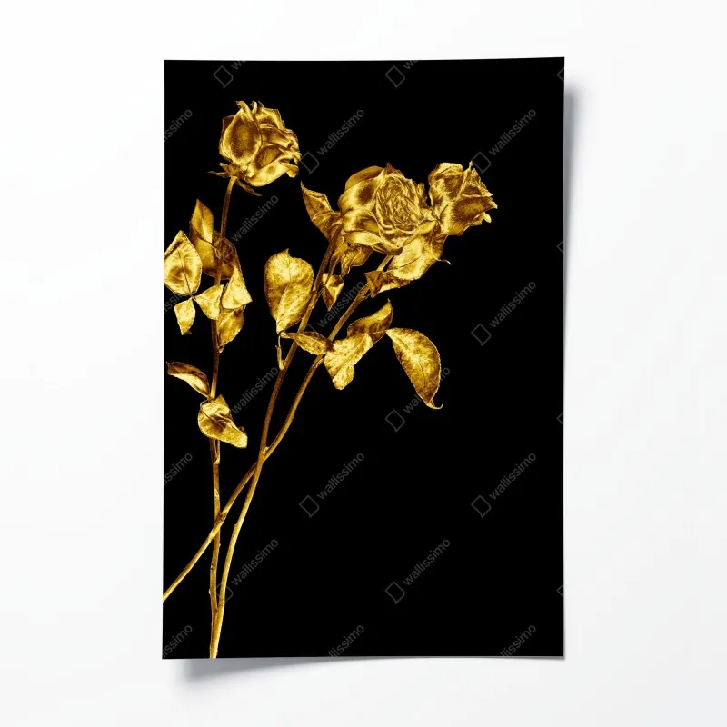 Plakat złote róże na czarnym tle