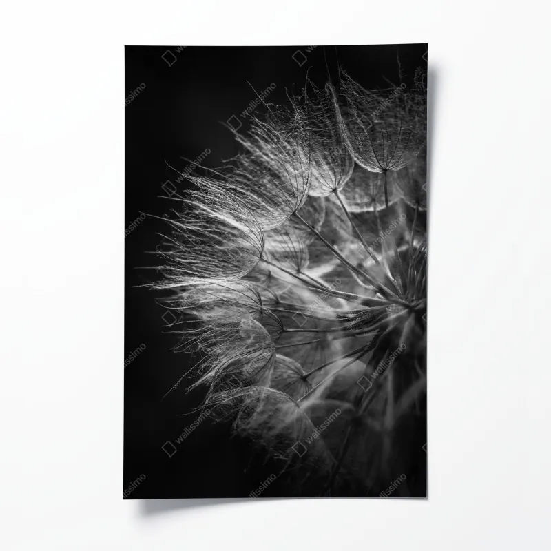 Plakat dramatyczna czarno-biała fala oceanu – Wallissimo®