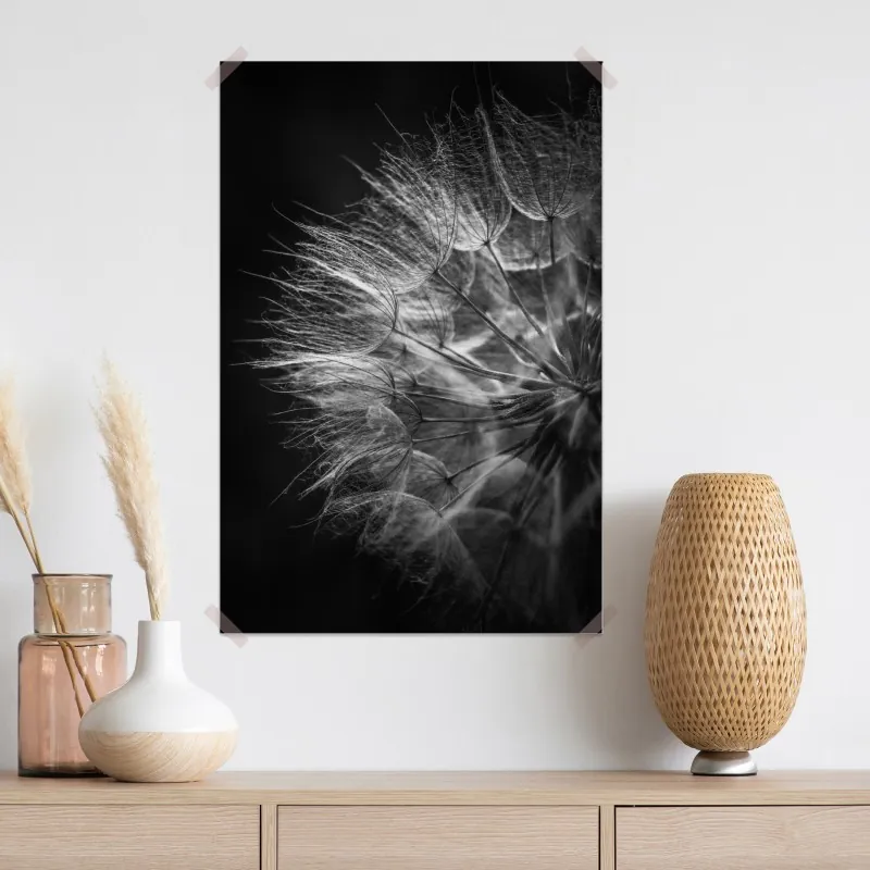 Plakat delikatny puch dmuchawca w monochromie – Wallissimo® Plakat delikatny puch dmuchawca w monochromie – Wallissimo®