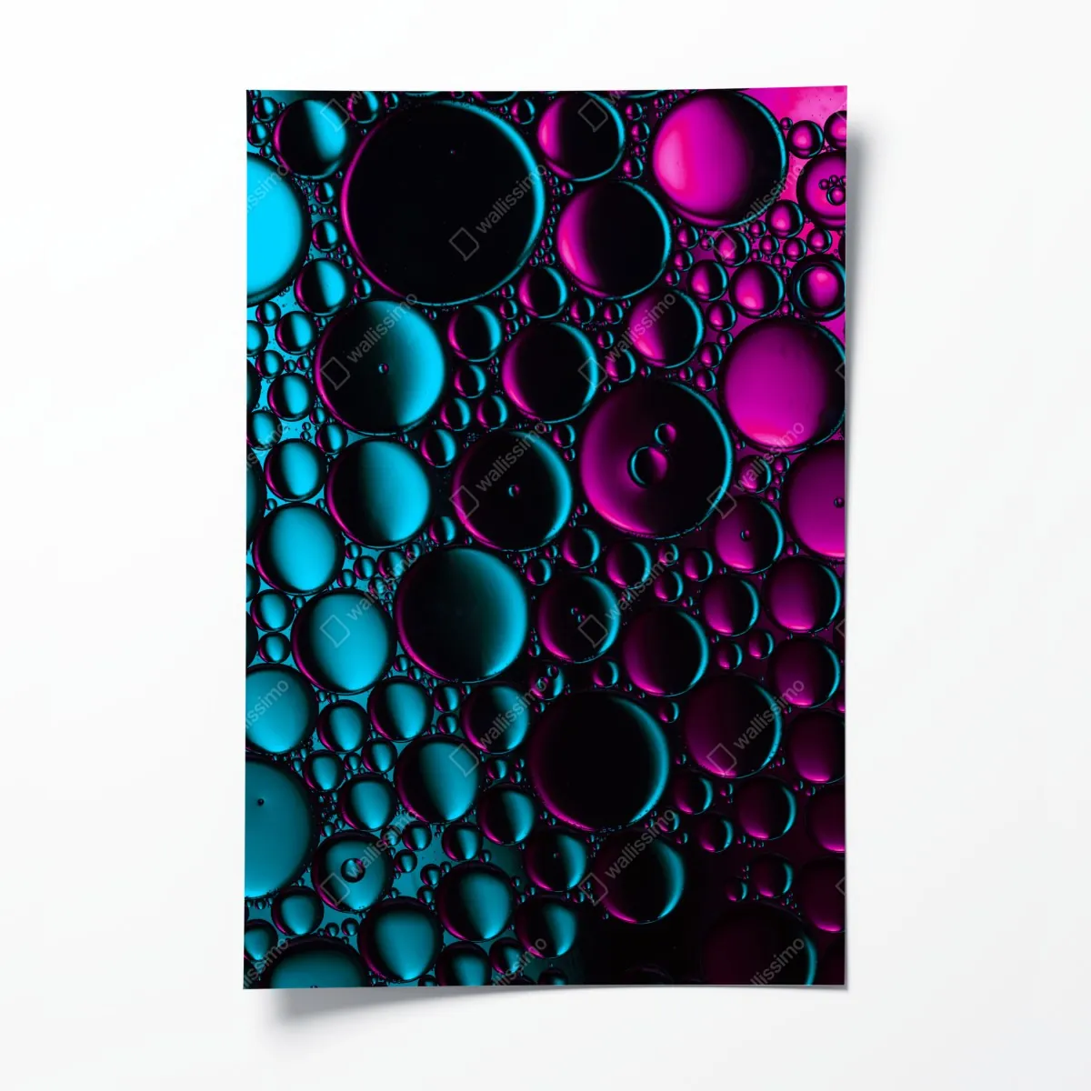 Plakat turkusowo-magenta wzór bąbelków – Wallissimo® Plakat turkusowo-magenta wzór bąbelków – Wallissimo®