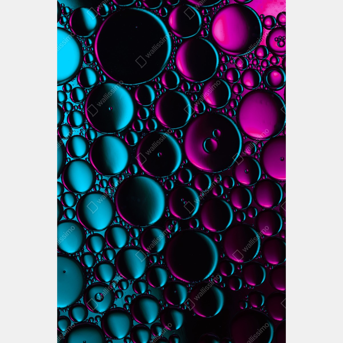 Plakat turkusowo-magenta wzór bąbelków – Wallissimo® Plakat turkusowo-magenta wzór bąbelków – Wallissimo®