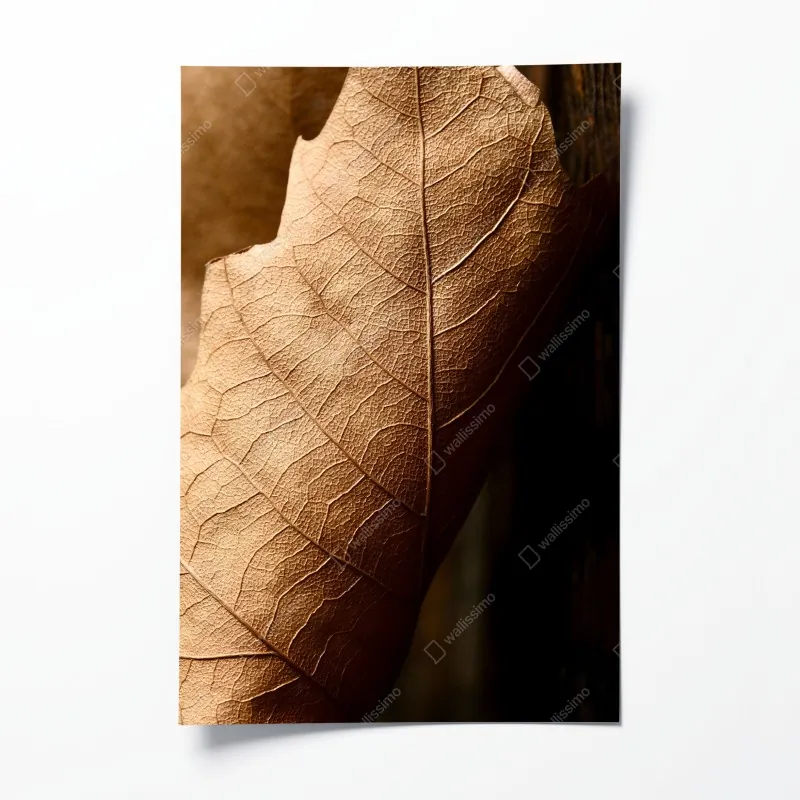 Plakat tekstura suchego liścia w zbliżeniu