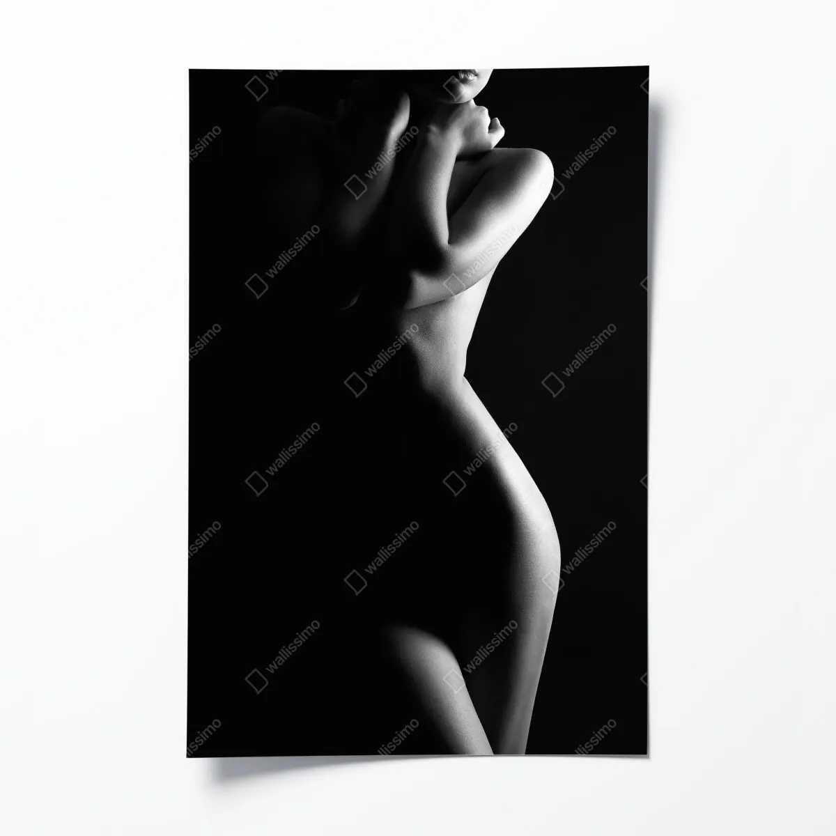 Plakat zmysłowa sylwetka kobiecej formy – Wallissimo® Plakat zmysłowa sylwetka kobiecej formy – Wallissimo®