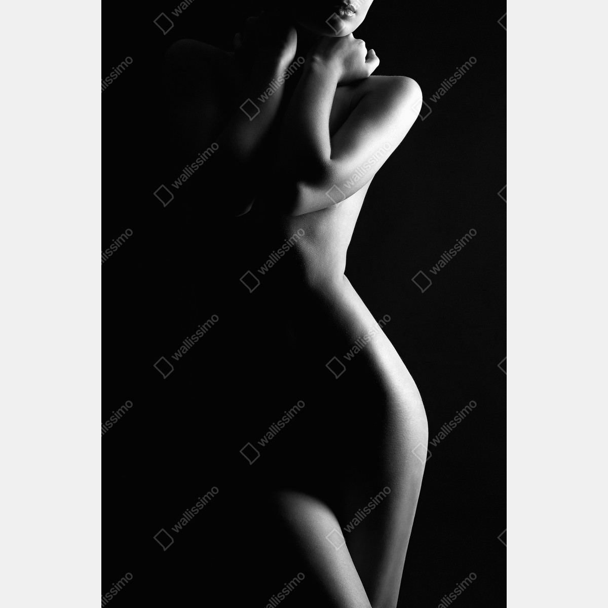 Plakat zmysłowa sylwetka kobiecej formy – Wallissimo® Plakat zmysłowa sylwetka kobiecej formy – Wallissimo®