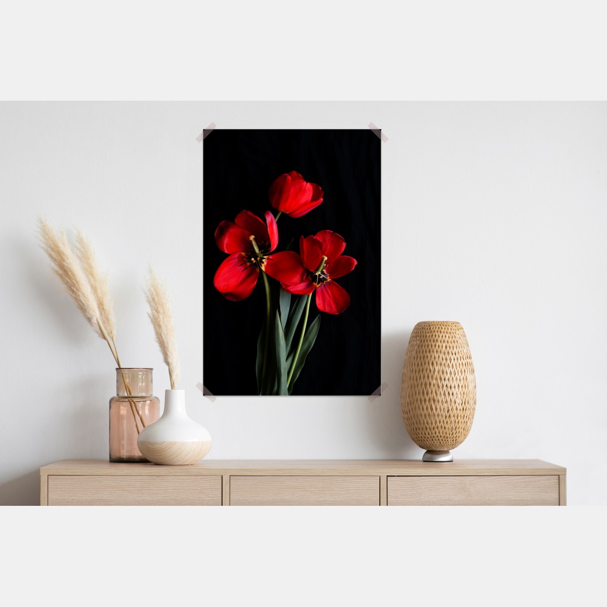 Plakat trzy czerwone tulipany na czarnym tle – Wallissimo® Plakat trzy czerwone tulipany na czarnym tle – Wallissimo®