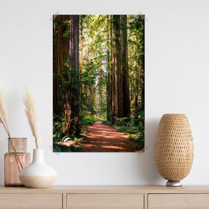 Plakat majestatyczna ścieżka w lesie sekwoi – Wallissimo® Plakat majestatyczna ścieżka w lesie sekwoi – Wallissimo®