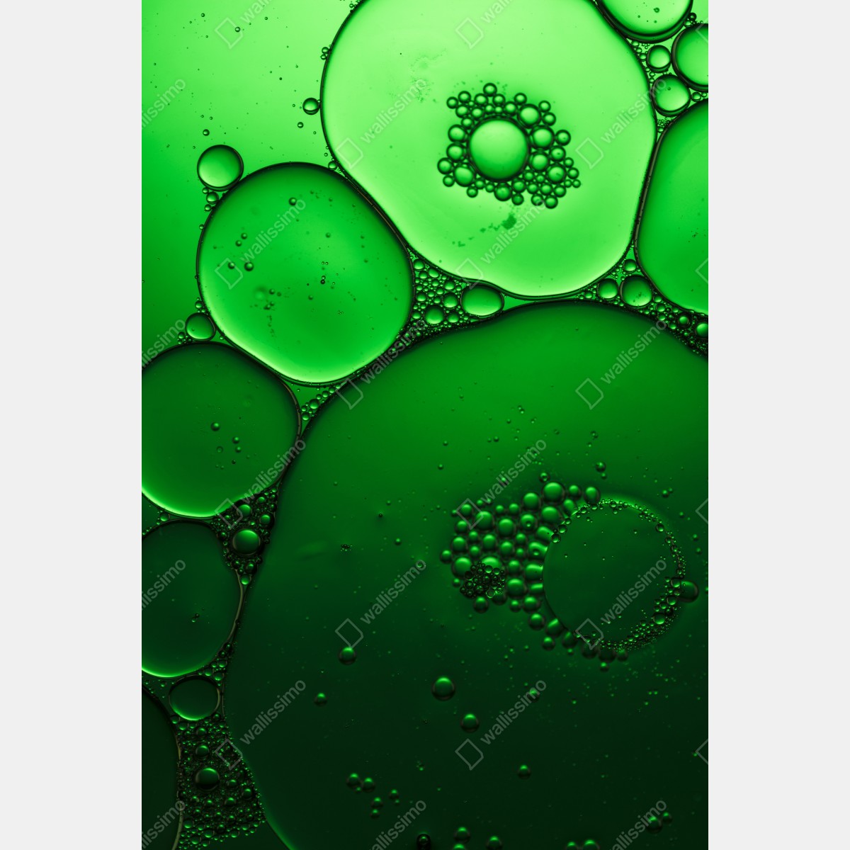 Plakat zielone bańki abstrakcyjna kompozycja – Wallissimo® Plakat zielone bańki abstrakcyjna kompozycja – Wallissimo®