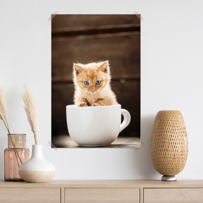 Plakat rudy kociak w filiżance – Wallissimo® Plakat rudy kociak w filiżance – Wallissimo®