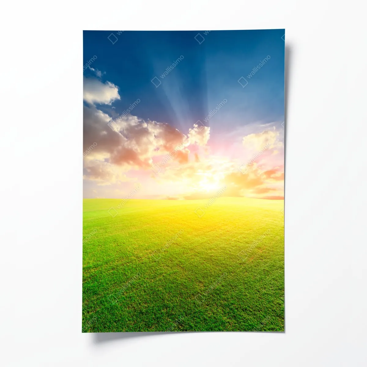 Plakat słoneczna łąka o zmierzchu – Wallissimo® Plakat słoneczna łąka o zmierzchu – Wallissimo®