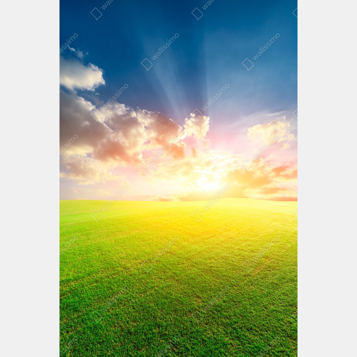 Plakat słoneczna łąka o zmierzchu – Wallissimo® Plakat słoneczna łąka o zmierzchu – Wallissimo®