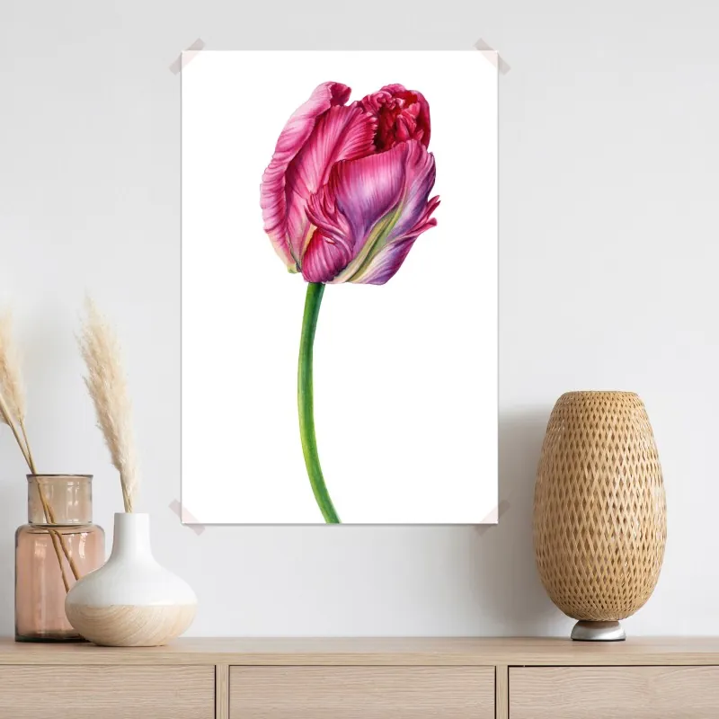 Plakat różowy tulipan akwarelowa ilustracja botaniczna – Wallissimo® Plakat różowy tulipan akwarelowa ilustracja botaniczna – Wallissimo®