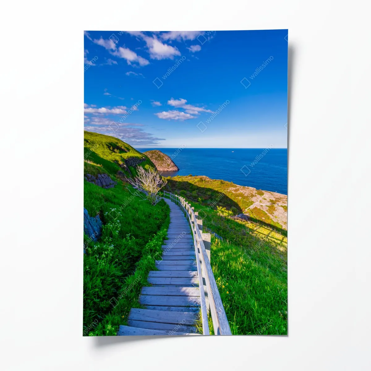Plakat nadmorska ścieżka z widokiem na morze – Wallissimo® Plakat nadmorska ścieżka z widokiem na morze – Wallissimo®