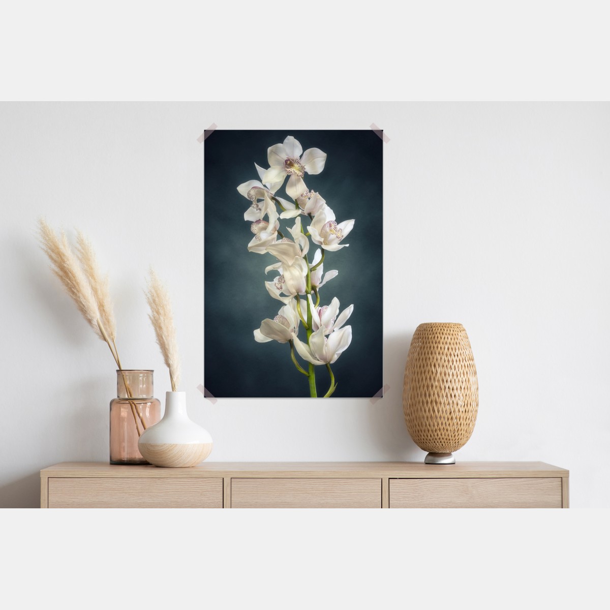 Plakat delikatne białe storczyki na stonowanym tle – Wallissimo® Plakat delikatne białe storczyki na stonowanym tle – Wallissimo®