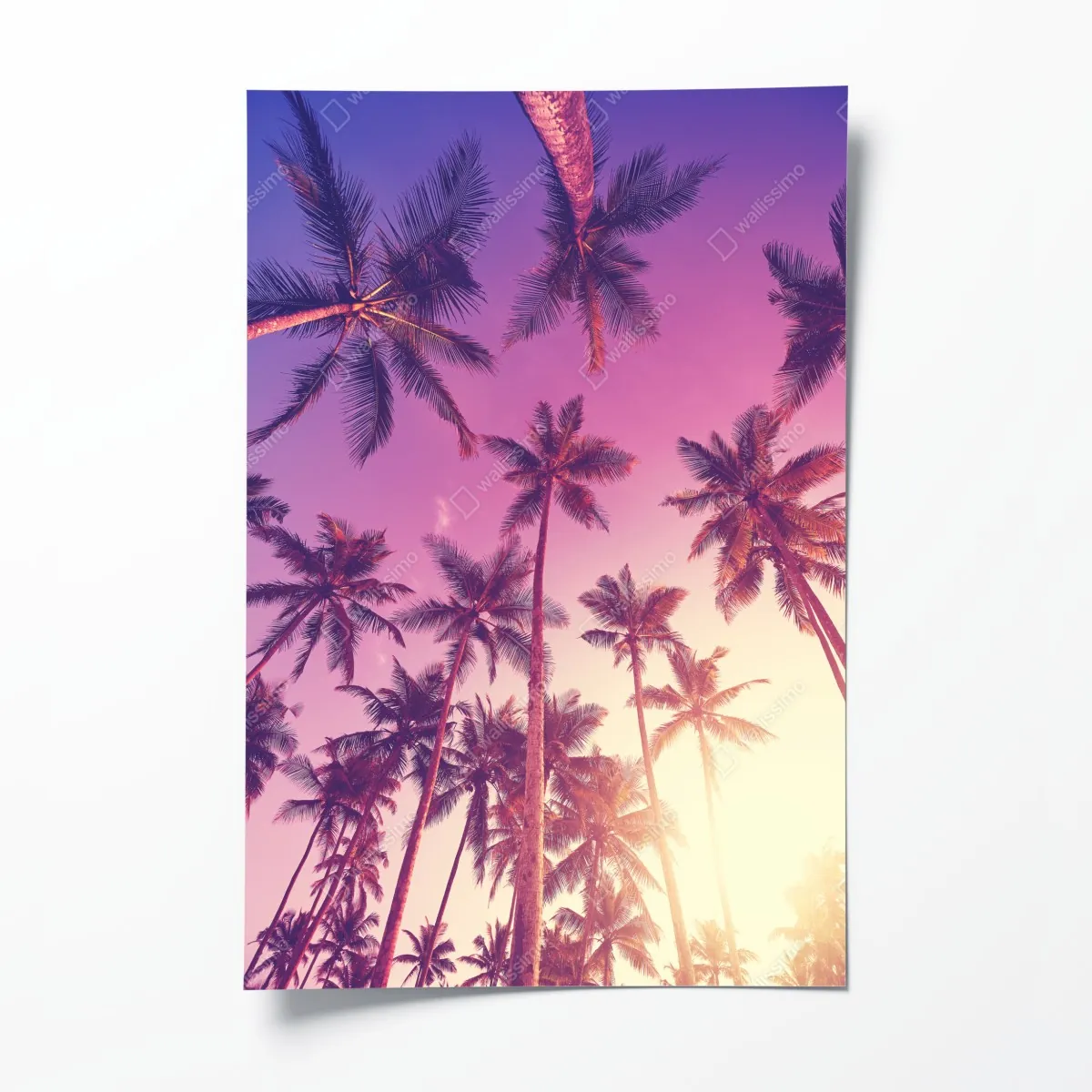 Plakat tropikalne palmy o zachodzie słońca – Wallissimo® Plakat tropikalne palmy o zachodzie słońca – Wallissimo®