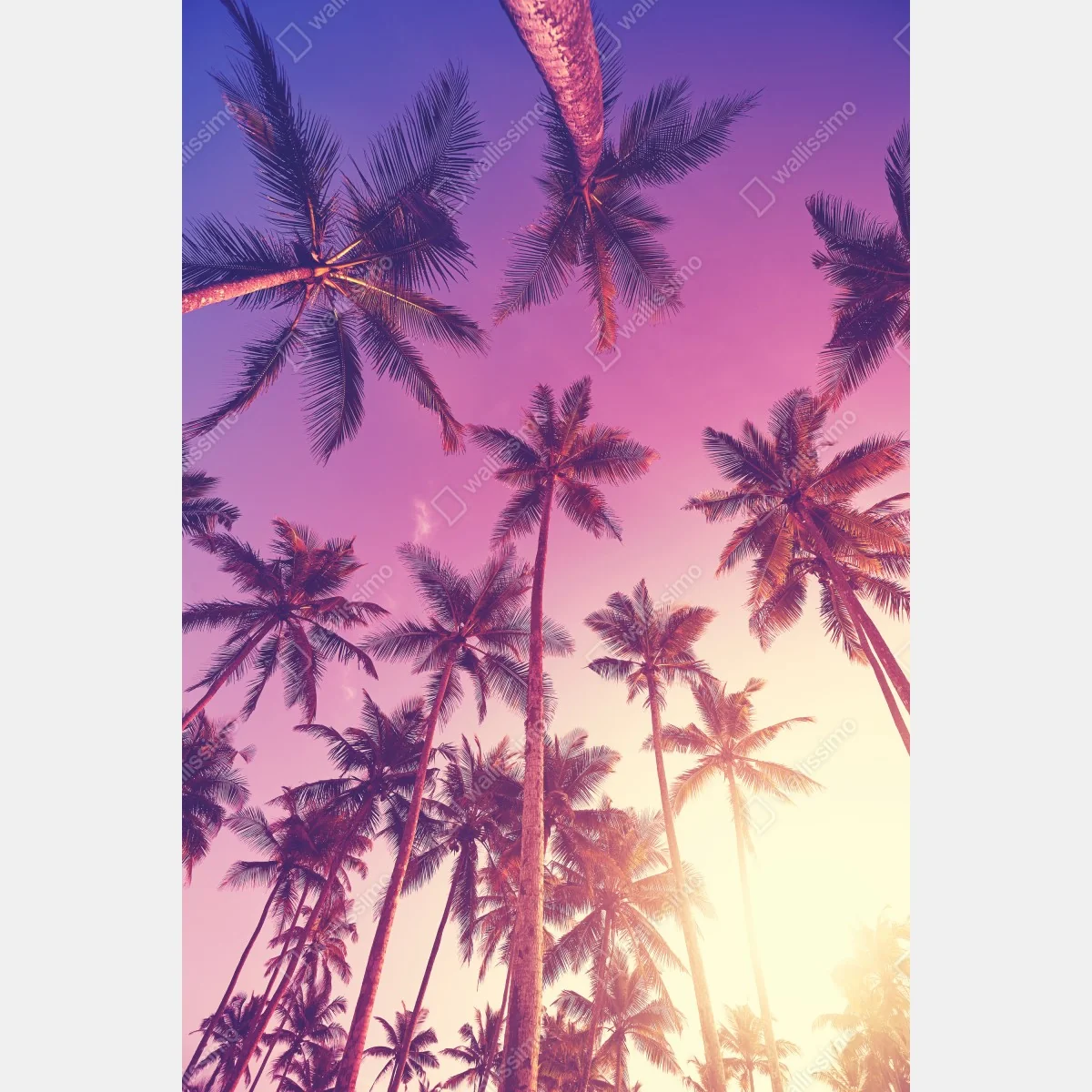 Plakat tropikalne palmy o zachodzie słońca – Wallissimo® Plakat tropikalne palmy o zachodzie słońca – Wallissimo®