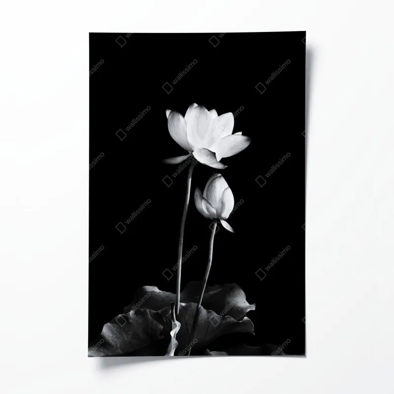 Plakat monochromatyczny wzór łuków – Wallissimo®