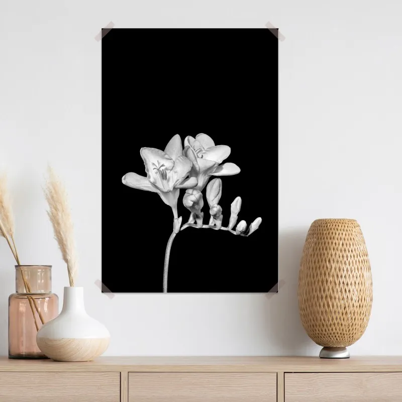 Plakat delikatna frezja w monochromie – Wallissimo® Plakat delikatna frezja w monochromie – Wallissimo®