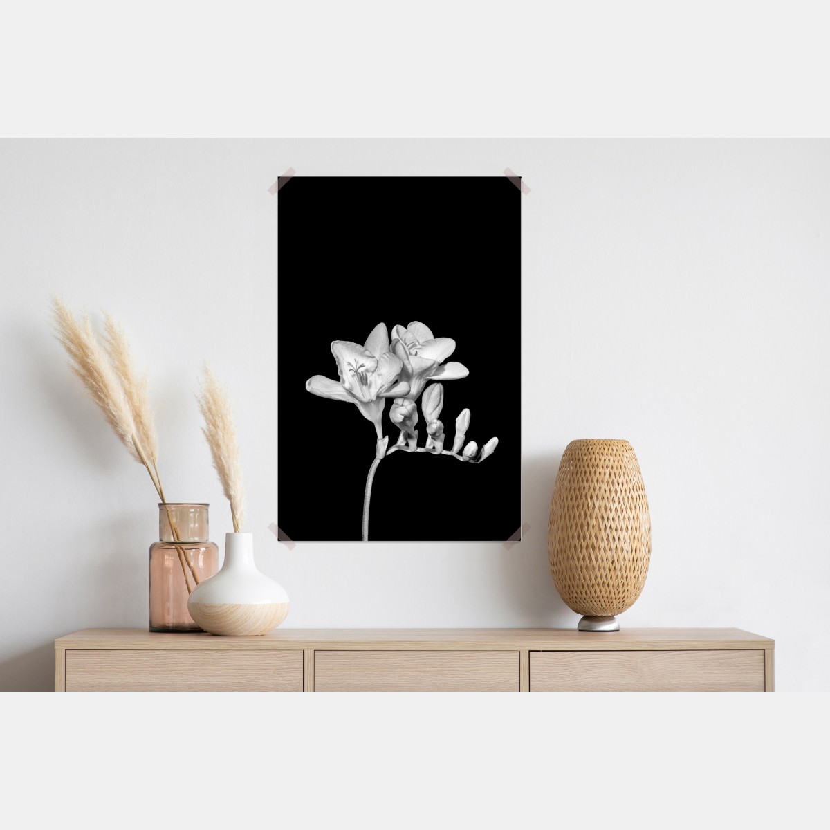 Plakat delikatna frezja w monochromie – Wallissimo® Plakat delikatna frezja w monochromie – Wallissimo®